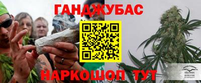 индика Тула