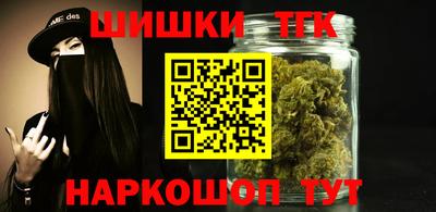 индика Тула